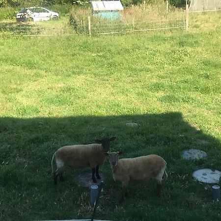 Gite Le Bossero Sur La Vallee Du Trevelo Caden Zewnętrze zdjęcie